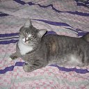 ����� " ...� ���������� ����� ���..." �� ������� ����� ��� ������������