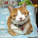 ���� �������, ������, 44 ���� - ��������� 22 ������� 2012 � ������ ���� ����������