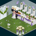  ,   -  29  2013   Tropikania