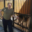 ���� ������, �����-���������, 62 ���� - ��������� 22 ������ 2013 � ������ ���� ����������