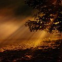  Natalia, , 62  -  17  2012   