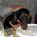 ���� ������, ������, 42 ���� - ��������� 26 ������� 2009 � ������ ���