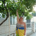  , -, 62  -  26  2012    