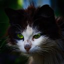 ���� ��������, �������, 58 ��� - ��������� 23 ���� 2013 � ������ ������ ��������