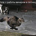 ���� �����, �������, 41 ��� - ��������� 3 ��� 2011 � ������ ���� ����������