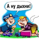  , -, 66  -  16  2013    