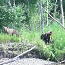 ���� ���������, �������������-����������, 53 ���� - ��������� 28 ������ 2013 � ������ ���� ����������