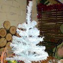  ~_o~, , 62  -  28  2010    ...