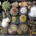 ���� ������, ������, 69 ��� - ��������� 5 ������ 2013 � ������ ���� ��������� ����������