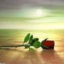 ���� Vitek, ����, 52 ���� - ��������� 29 ���� 2010 � ������ ���� ����������