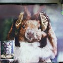 ���� �������, ������, 51 ��� - ��������� 4 ���� 2012 � ������ ���� ����������