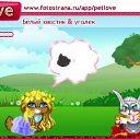  Melena, , 38  -  7  2010   PetLove