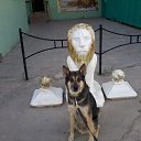 ���� �����, ��������, 46 ��� - ��������� 9 �������� 2012 � ������ ���� ������ ))�