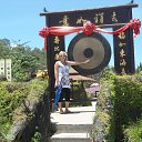  , -, 64  -  26  2013   .