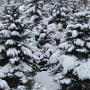 ���� ������� -------, ����������� - ��������� 1 ������� 2011 � ������ �߻