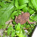 ���� ������, ������������, 34 ���� - ��������� 26 �������� 2011