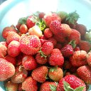 ���� �����, ������ - ��������� 5 ������� 2012 � ������ ����� ��������