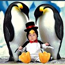 ���� ������, ���������, 56 ��� - ��������� 13 ������� 2010 � ������ ���� �����