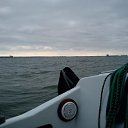 ���� ��������, ��������, 55 ��� - ��������� 2 ������� 2011 � ������ ������