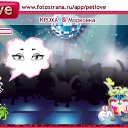  , , 34  -  13  2010   PetLove