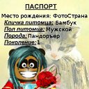  Nadin))) , - -  23  2010      