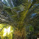 ���� ������, ��������, 66 ��� - ��������� 5 ������ 2013 � ������ ���� ����������