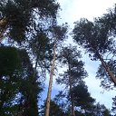 ���� �����, ������������ - ��������� 23 �������� 2012 � ������ ����������