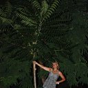 ���� �������, �����, 62 ���� - ��������� 12 ��� 2011 � ������ �߻