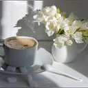 ���� �������, ������� - ��������� 7 ���� 2012 � ������ ����Ż