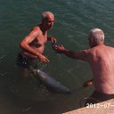 ���� M Oil, ������, 60 ��� - ��������� 31 ���� 2012 � ������ �2�