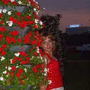  Aleksa , , 45  -  2  2009    