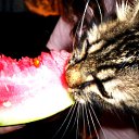  , , 36  -  30  2010       !!!=)