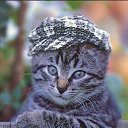 ���� ������, ���������� �����, 46 ��� - ��������� 7 �������� 2012 � ������ �������