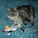 ���� ���������, �����������, 43 ���� - ��������� 29 ������� 2012 � ������ ���� ������