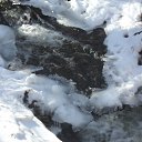 ���� ���������, �����������, 43 ���� - ��������� 29 ������� 2012 � ������ �_.-;(*,!,*);-,_�