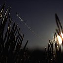  Karen, , 53  -  19  2012    