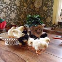 �� ��������� � ����� �� ������� ���� ����������