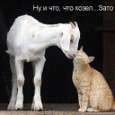 ���� �������, ������ - ��������� 27 ������ 2013 � ������ �...�� ������� ��� ���...�