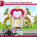 ���� ���, ������, 33 ���� - ��������� 8 ��� 2011 � ������ �PetLove�