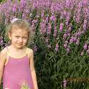 ���� ���������, ������ ���, 43 ���� - ��������� 7 ���� 2013 � ������ ���� ����������