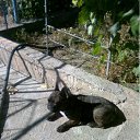  Marina., , 72  -  9  2012   