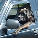 ���� ����, ������������, 61 ��� - ��������� 13 �������� 2011 � ������ �������