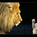 ���� �������, �������, 53 ���� - ��������� 21 ������� 2012 � ������ �RoadKing�