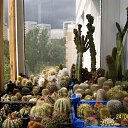 ���� ������, ������, 69 ��� - ��������� 5 ������ 2013 � ������ ���� ��������� ����������