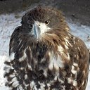 ���� Kasatkin, ����������, 48 ��� - ��������� 20 ��� 2011 � ������ �������