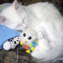 ���� Gg, ������, 24 ���� - ��������� 17 �������� 2010 � ������ ���� �����