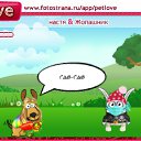���� ���������, ��������, 39 ��� - ��������� 28 ��� 2011 � ������ �PetLove�