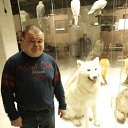 ���� ����, ������, 53 ���� - ��������� 17 ���� 2013 � ������ ���� ����������