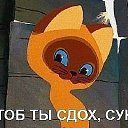  28  ,  -  28  2013    