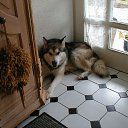  Walter, , 64  -  16  2012   